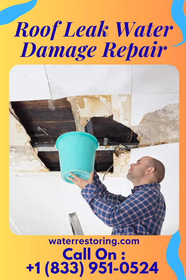 Roof Leak Water Damage Repair in Wadsworth, NY