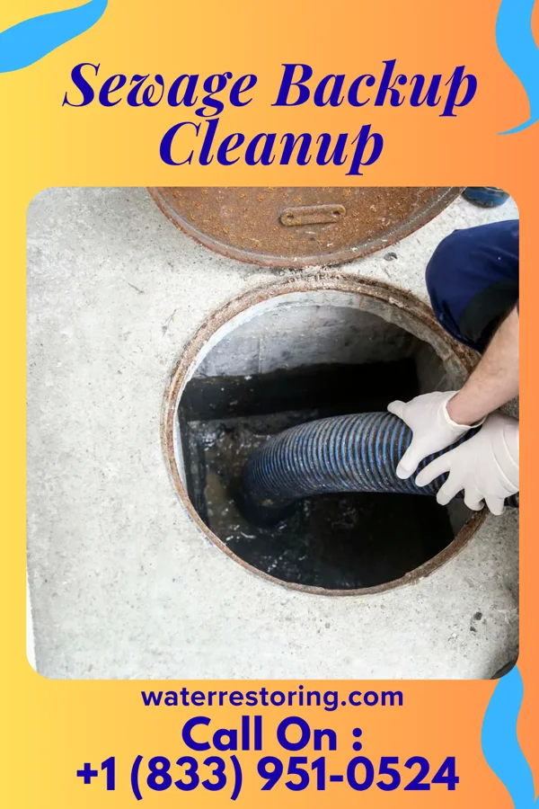 Sewage Backup Cleanup in Wadsworth, NY