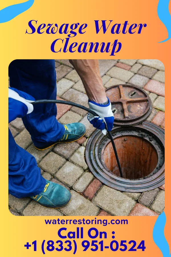 Sewage Water Cleanup in Wadsworth, NY