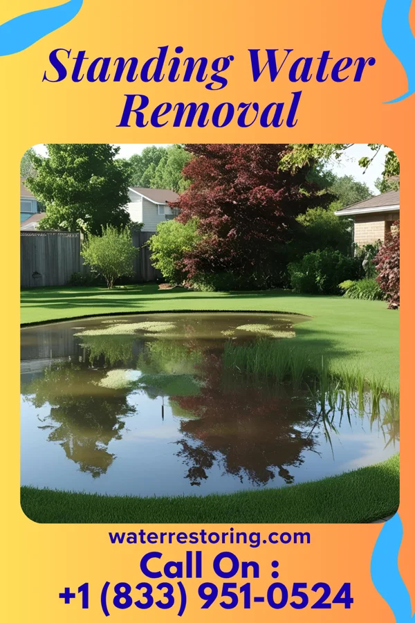Standing Water Removal in Wadsworth, NY